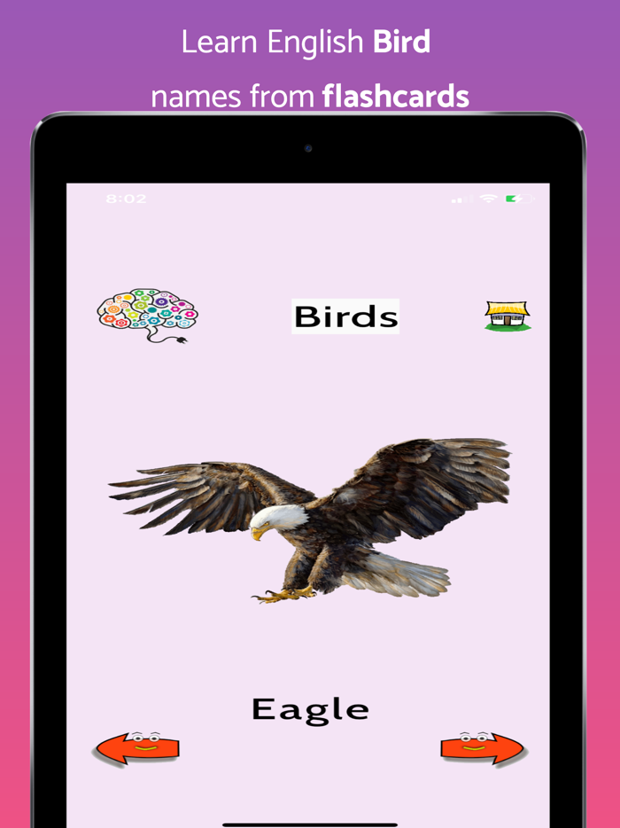 Learn English Flashcards