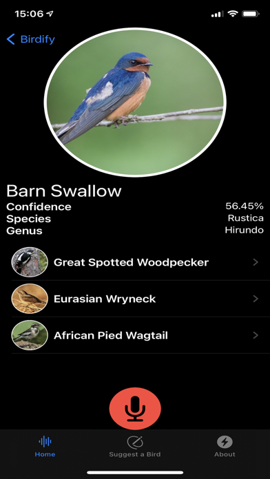Birdify screenshot 2