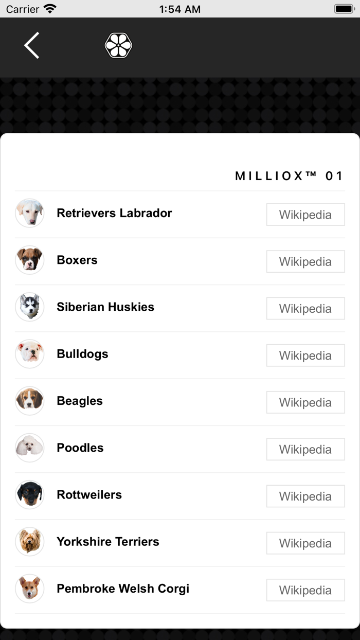 Milliox Kitty And Puppy