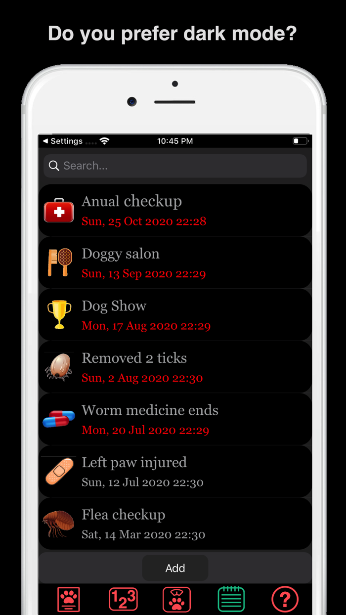 My American Pit Bull Terrier