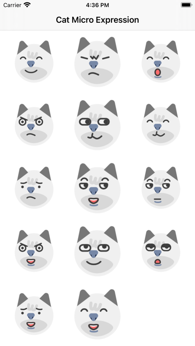 CatMicroExpression