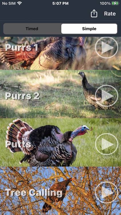 Wild Turkey Calls + screenshot-7