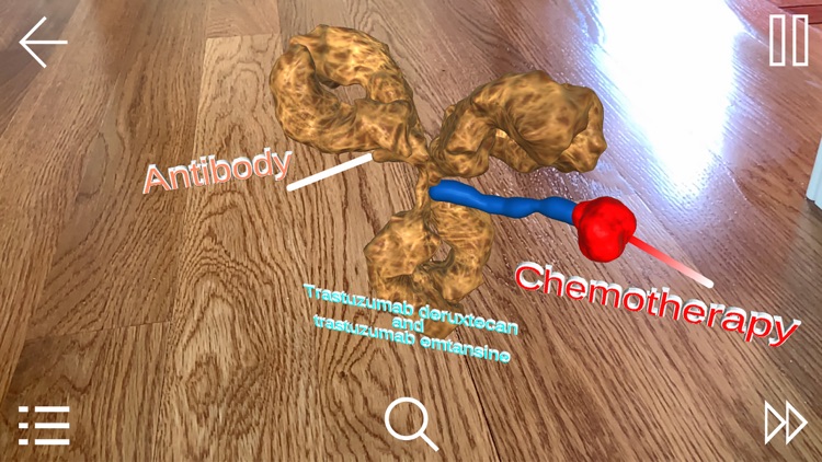 HER2-Targeted Therapy