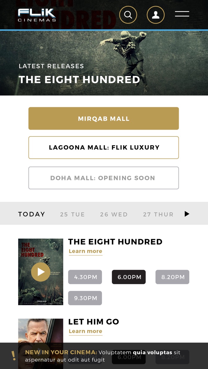 FLIK CINEMAS  ENTERTAINMENT