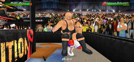 Cheats for Wrestling Revolution 3D