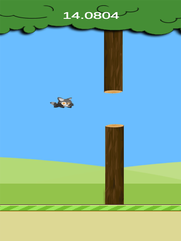Flappy Raccoon