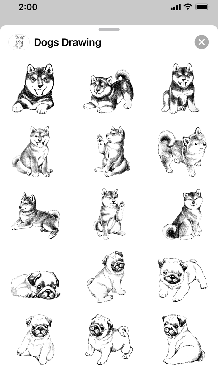 Dogs Drawing