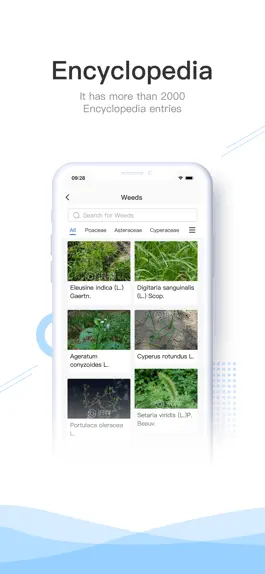 Game screenshot SenseAgro - Weeds Identifier apk