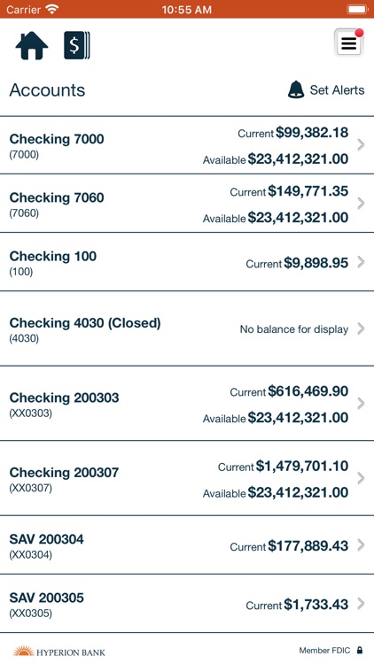 Hyperion Bank Cash Management screenshot-3