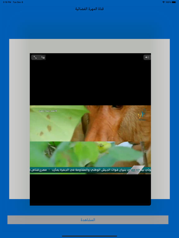 قناة المهره الفضائيه screenshot 3
