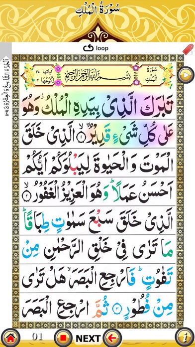 Surah Mulk with Sound screenshot 2