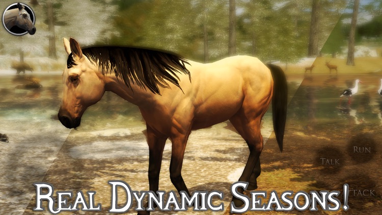 Ultimate Horse Simulator 2