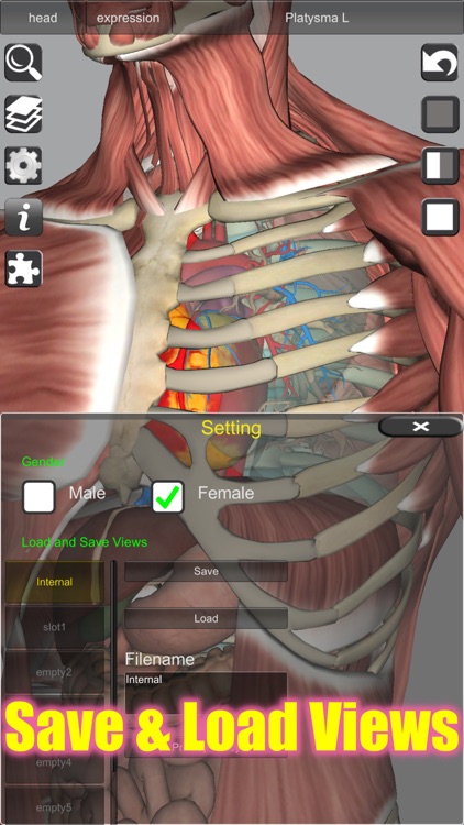 3D Anatomy Learning screenshot-4