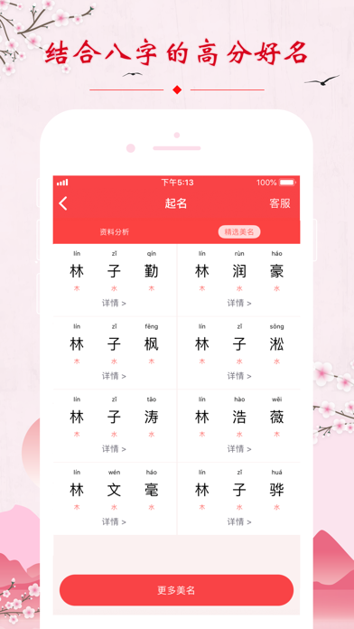 如意起名测名 -大师生辰八字起名解名 screenshot 2