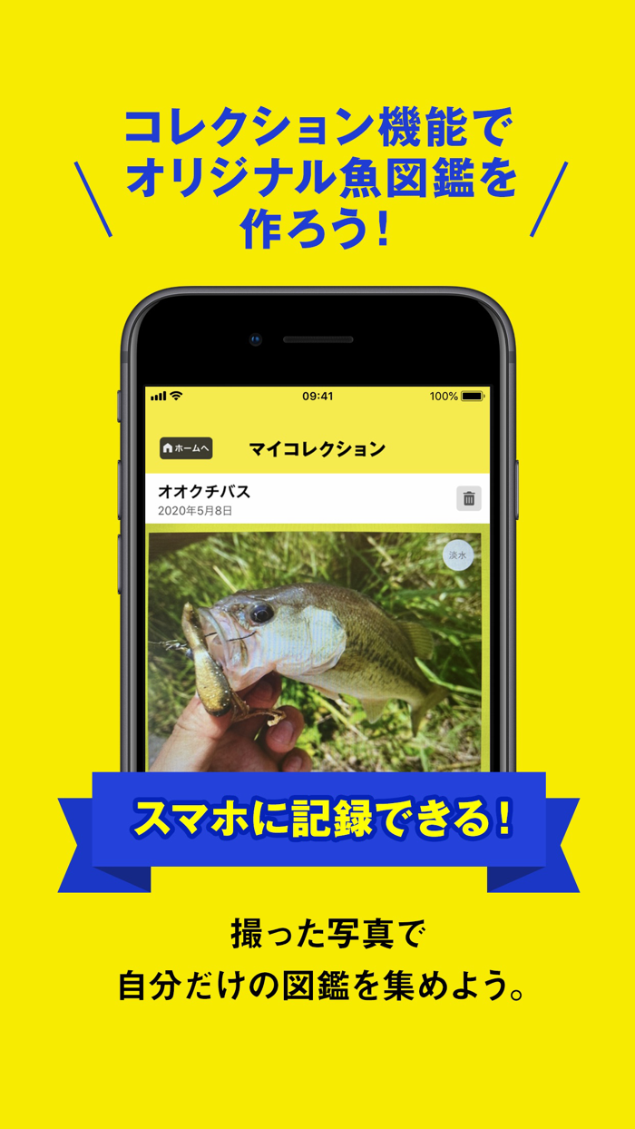 フィッシュ-AIが魚を判定する新しい魚図鑑