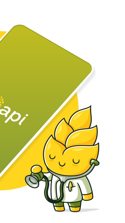 DrWapi: Agronomo digitale