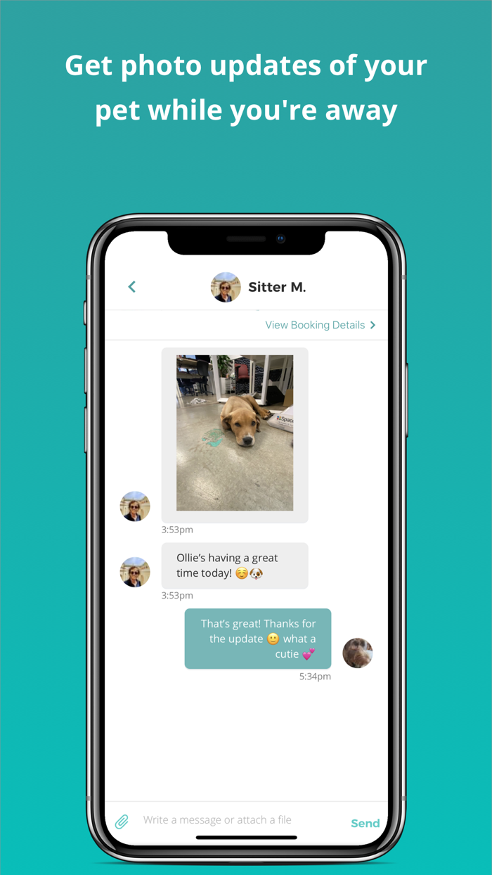 Mad Paws - Pet Sitting Service