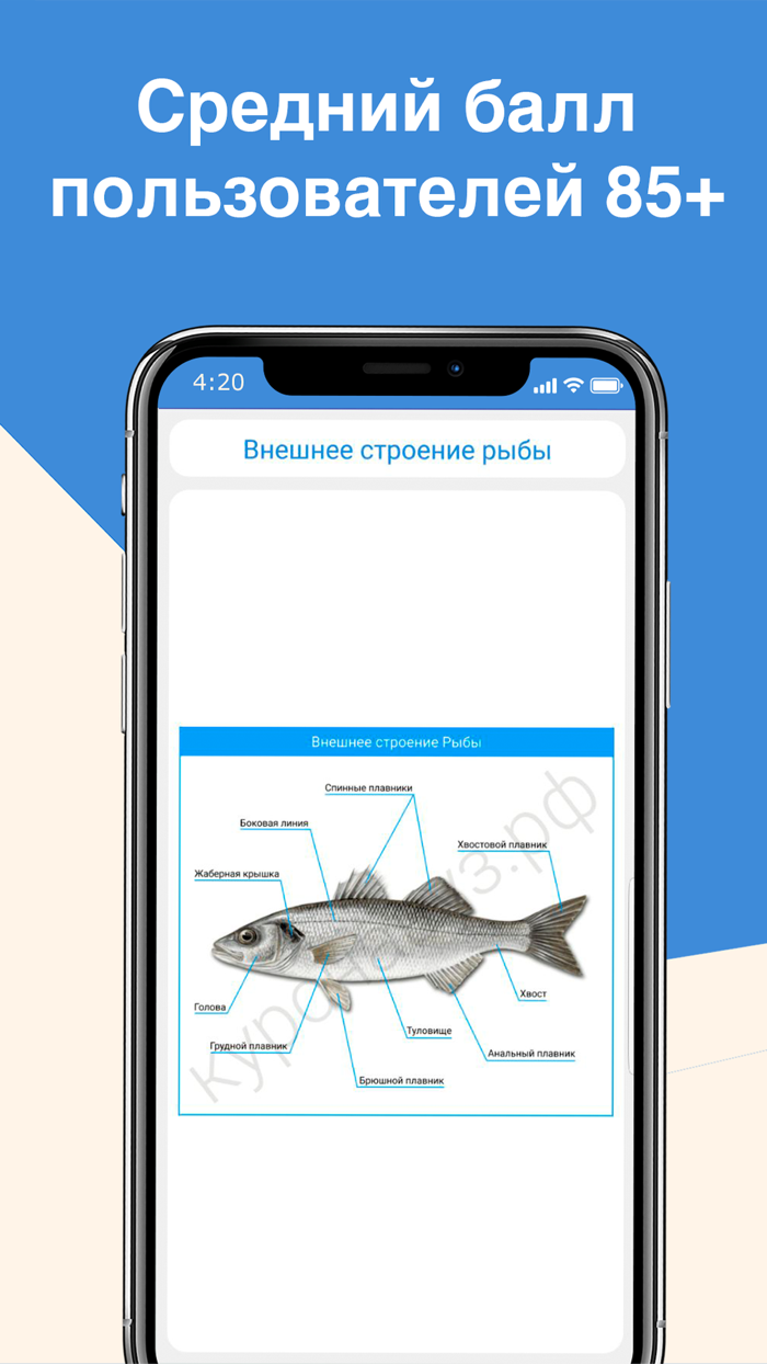 ЕГЭ Биология 2022