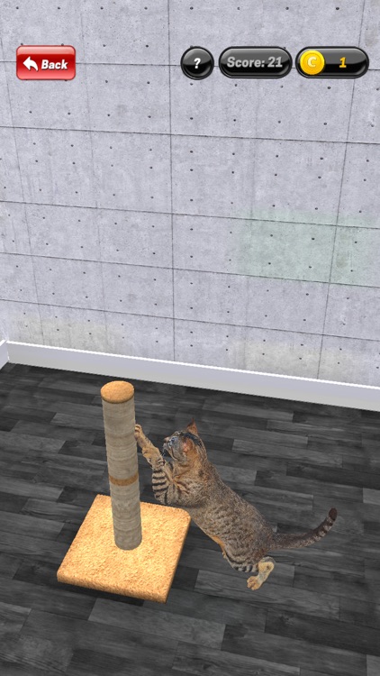 My Kitten (Cat Simulator) screenshot-6
