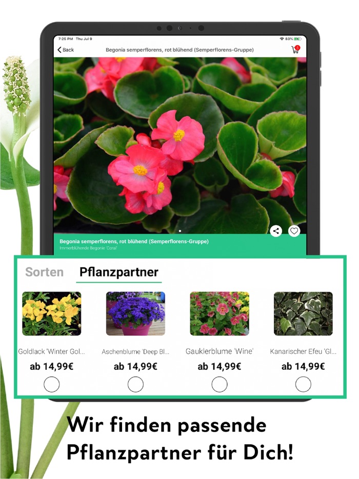 FlowerCam Gartenblumen kaufen