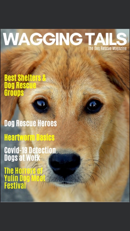 Wagging Tails Magazine