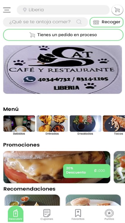 Cat Cafe y Restaurante