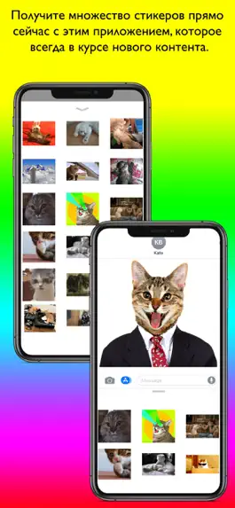 Game screenshot Animated Cat Stickers Pro hack