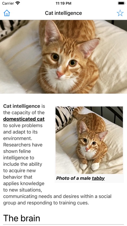 Encyclopedia of Cats screenshot-4