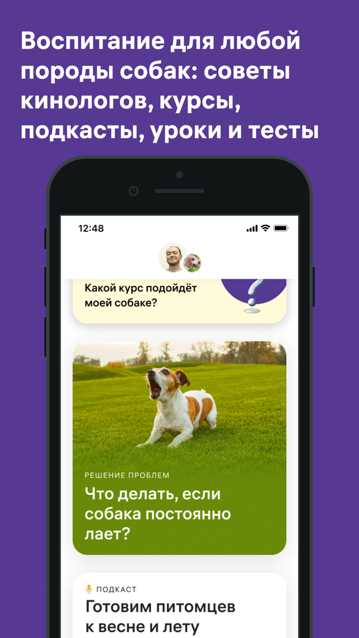 Petset дрессировка, ветеринар