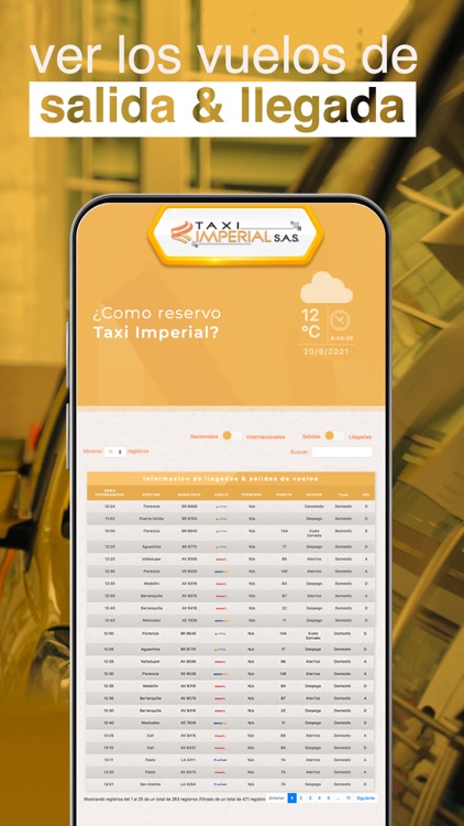 Taxi Imperial Viajero screenshot-3