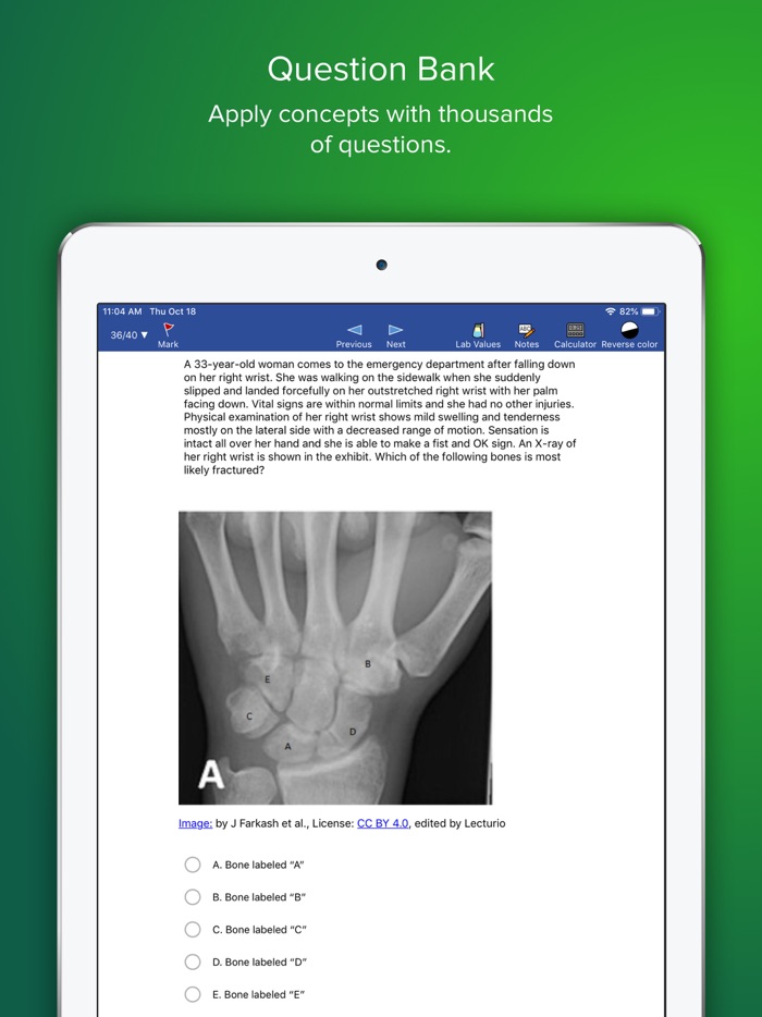 Our Lady of Fatima Lecturio