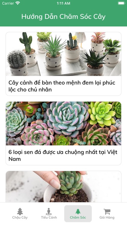 Chậu Cây Xinh