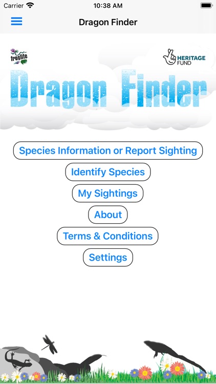 Dragon Finder