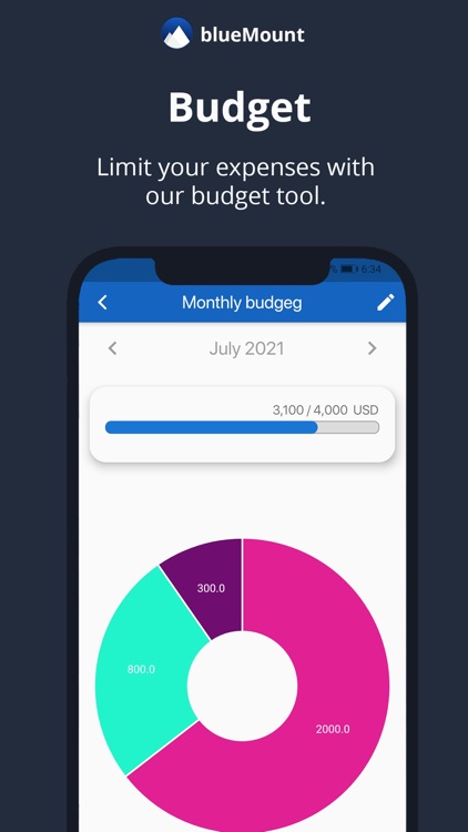 BlueMount - Money manager screenshot-4