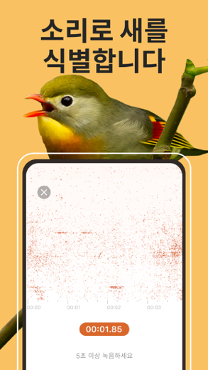 Picture Bird - 조류 식별 스크린샷 3
