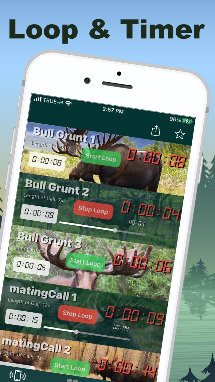 Moose Calls for Bull Hunter