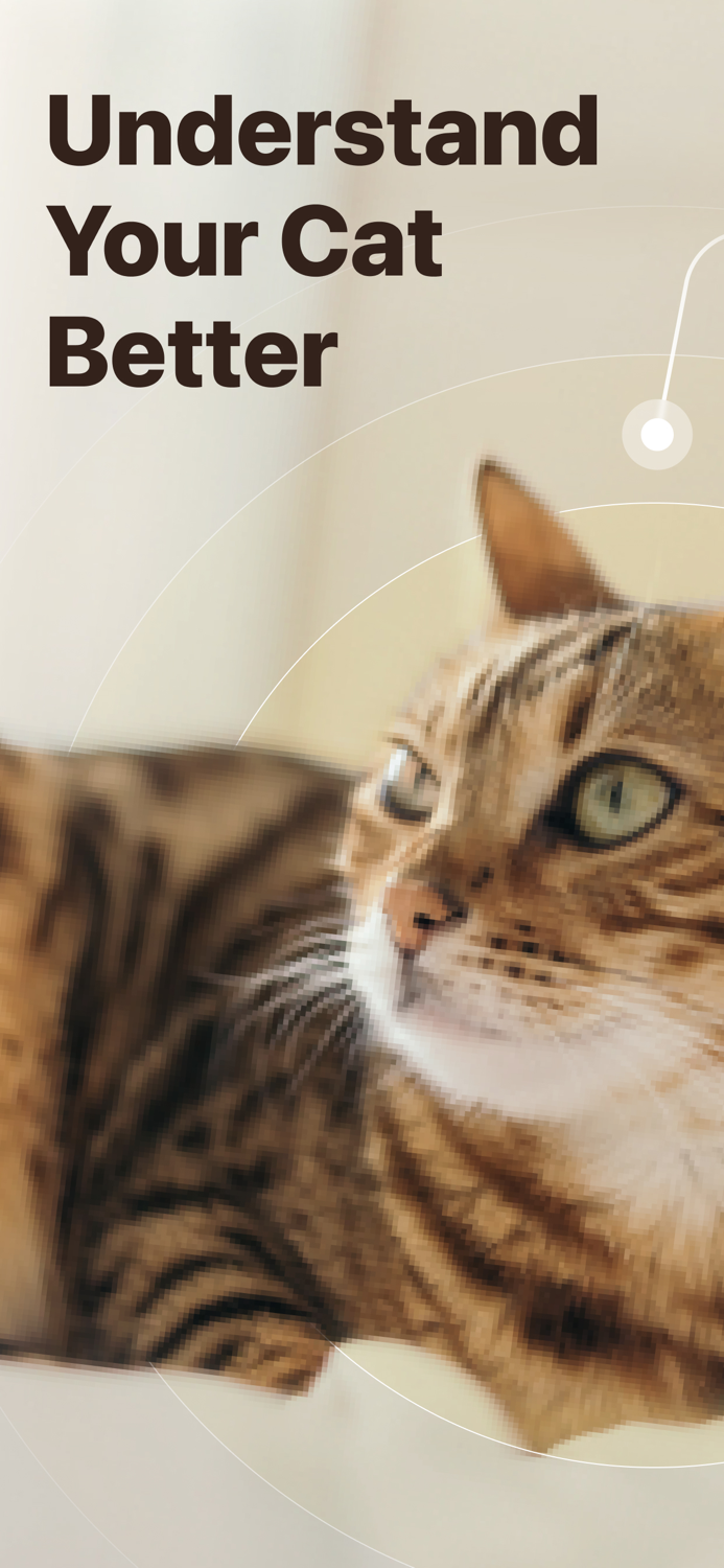 Cat Pal Breed ID  Care Guide