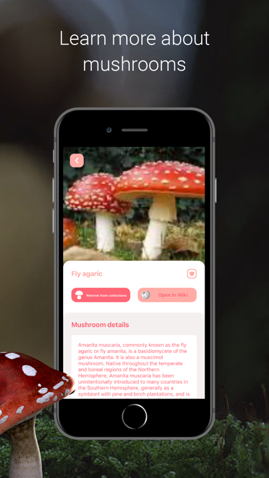 Mushroom Identifier ‣のおすすめ画像5