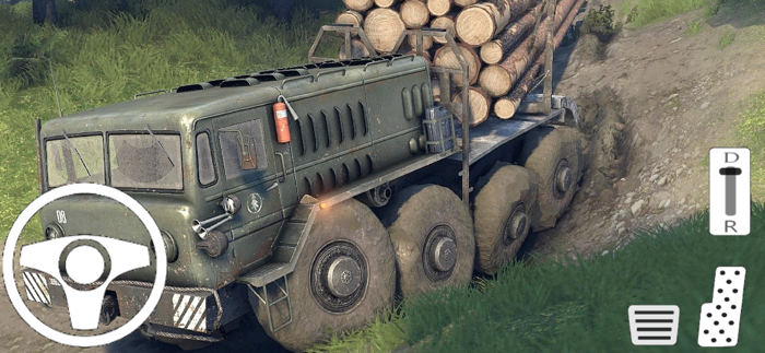 Wood Transport Truck Cargo