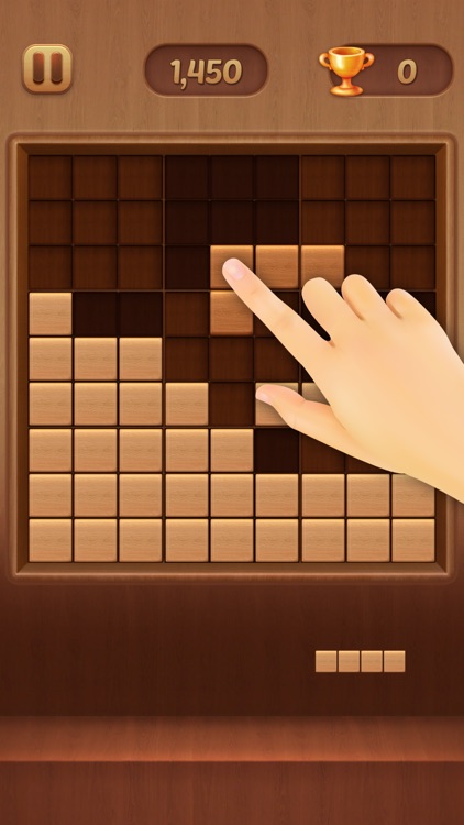 Block Puzzle Wood Sudoku Style