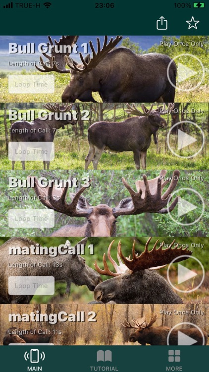 Moose Calls for Bull Hunter screenshot-6