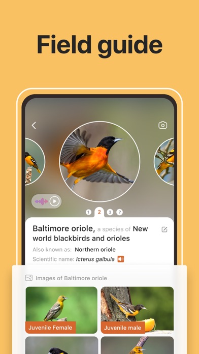 How to cancel & delete Picture Bird - Bird Identifier from iphone & ipad 4