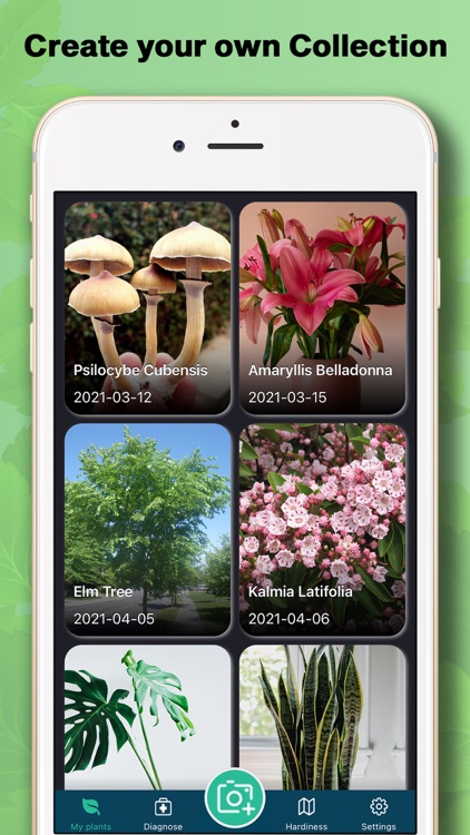 PlantIDer - Plant Identifier