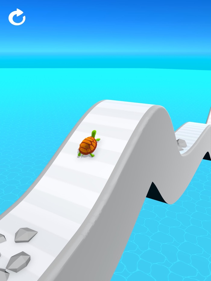 Turtle Race 3D
