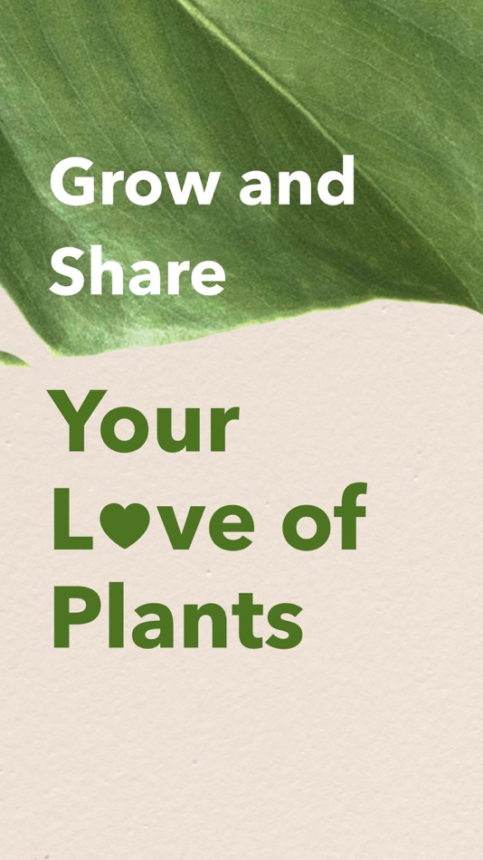 Plants story