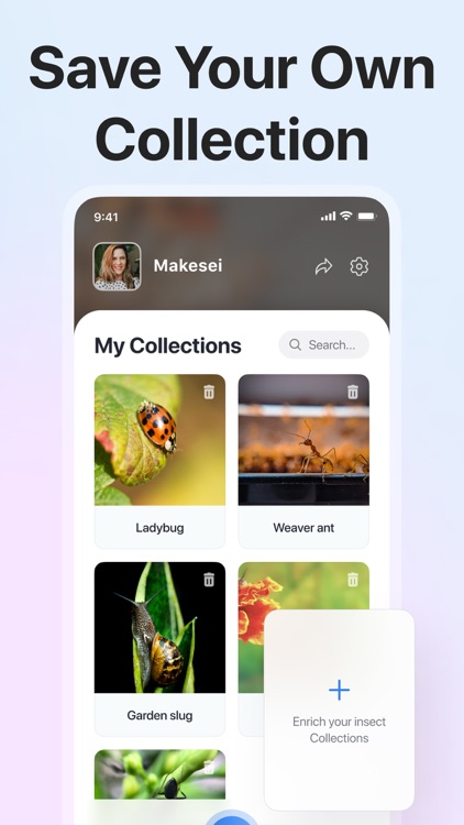 Picture Insect: Bug Identifier screenshot-6