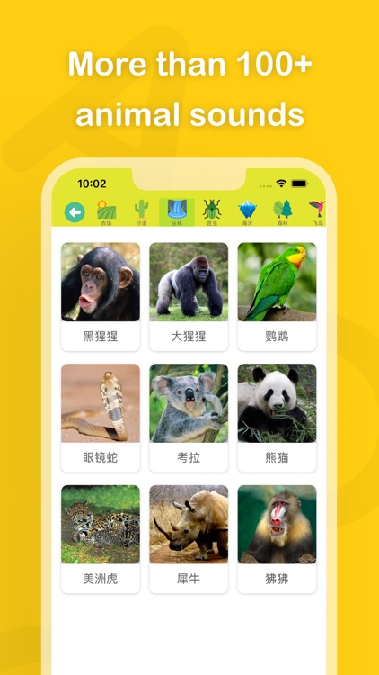 Animal Sounds: More 100 sounds by Xiupi Zhang