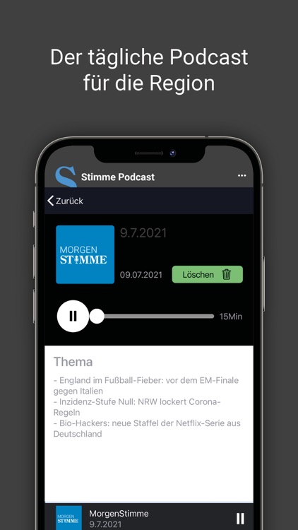 Stimme Podcast