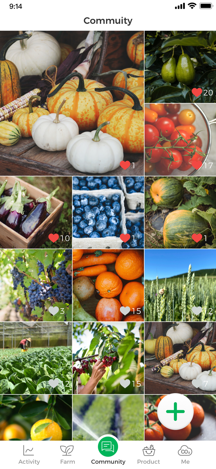 Green Farm based CSA