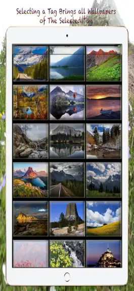 Game screenshot Nature Wallpapers & Background mod apk